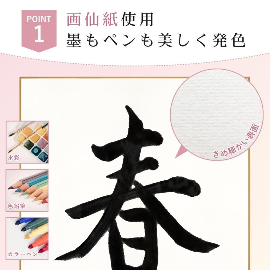 ヤフショ感謝デー□ポイント+1%』色紙 極 無地 厚紙 画仙紙タイプ しき