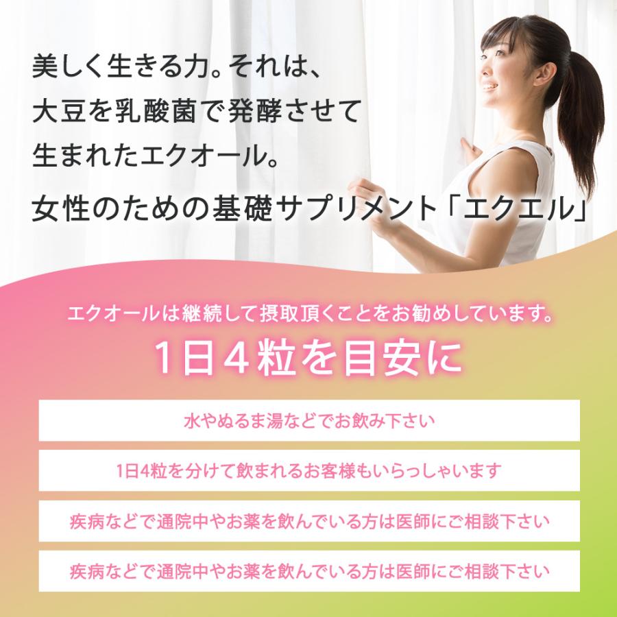 大塚製薬 エクエル パウチ エクオール 120粒入り 5袋 : Vobiria Style
