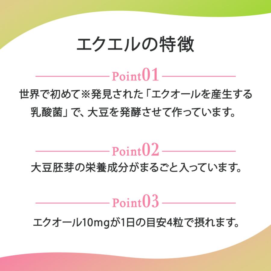 大塚製薬 エクエル パウチ エクオール 120粒入り 5袋 : Vobiria Style