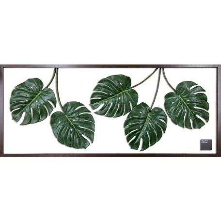 人気グッズ リーフアート モンステラ F Style Frame Monstera Deliciosa 09 Zelkova Shop 通販 Yahoo ショッピング 売れ済超特価 Livinginmalta Com