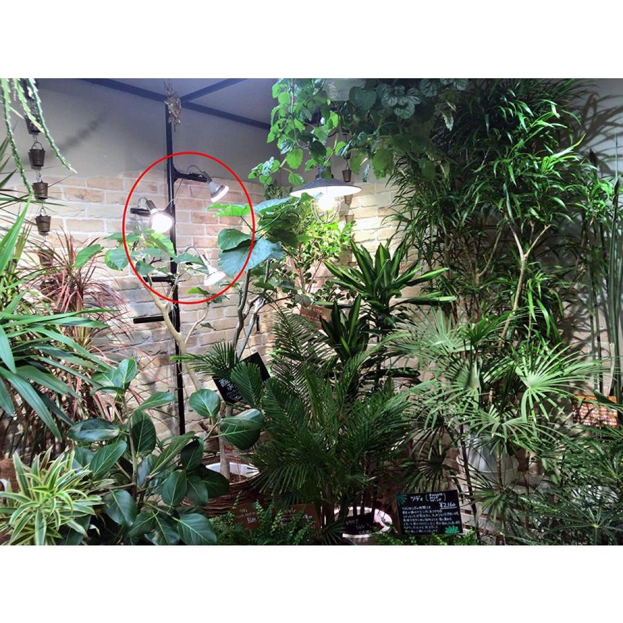 全国組立設置無料 Led Plantlight 18w 植物育成使用 白色電球 E26 観葉植物 水耕栽培 家庭菜園 水草栽培 ゼンブゼンブ商店 通販 Yahoo ショッピング 60 Off M Mahdi Net