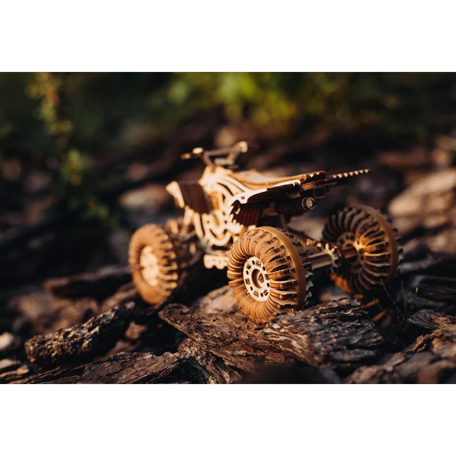 Web Wood Trick Quad Bike 3D Wooden Puzzles for Adults and Kids to Build - Rides up to 30 ft - Wooden Model Car Kits to Build for Adults - Model Kits for A
