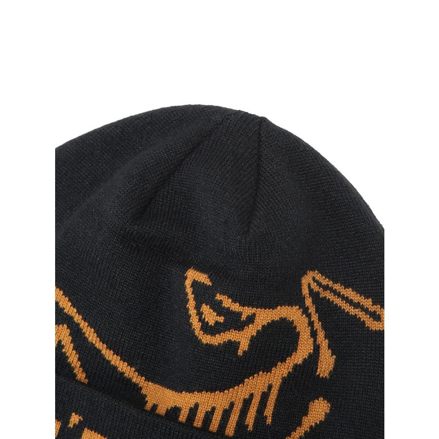 ARC'TERYX（アークテリクス） メンズ ニットキャップ ARC'TERYX BIG