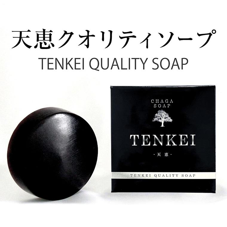 正規代理店】天恵クオリティソープ 80g プラスケア サロン品質 100