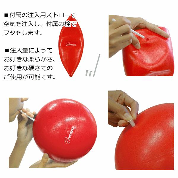 ピラティスボール 0 リハビリ ボール エクササイズ ボール バランスボール バランス ボール トレーニング用 ボール トーエイライト U 11 6265 819 前後前ショップ ヤフー店 通販 Yahoo ショッピング