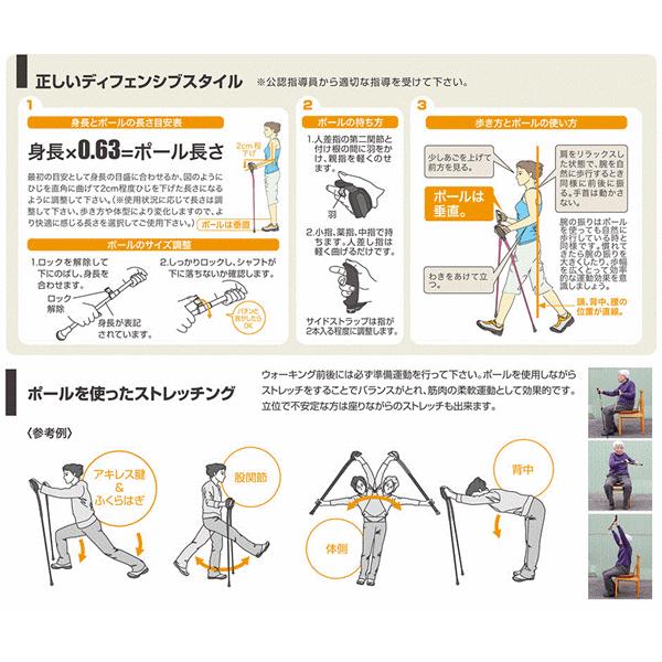歩ミングポール 2段コマ式伸縮ポール Api 2a2本1組 ノルディックウォーキング ポール トレッキングストック 2本杖 U 2374 97a 前後前ショップ ヤフー店 通販 Yahoo ショッピング