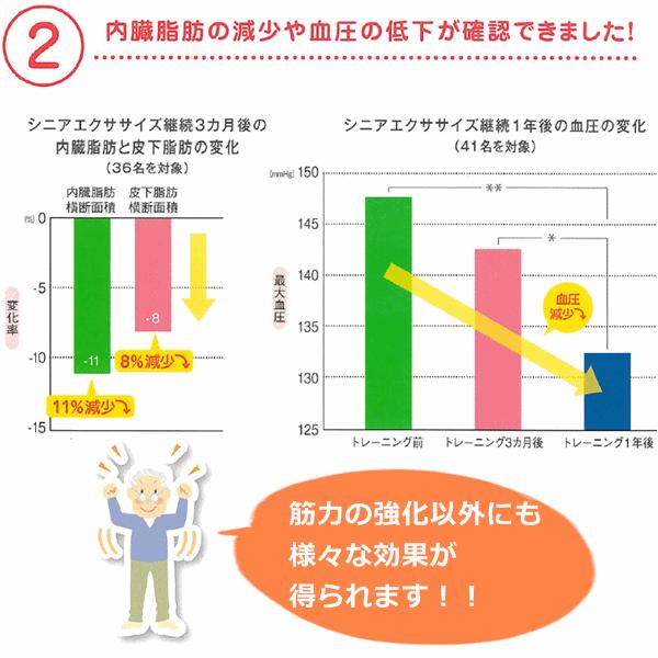 【平日15時まで即日出荷】エクササイズステップ DVD付き【リハビリ運動 ステップ運動 リハビリ トレーニング ダイエット 】｜zengozen-yafoo｜04