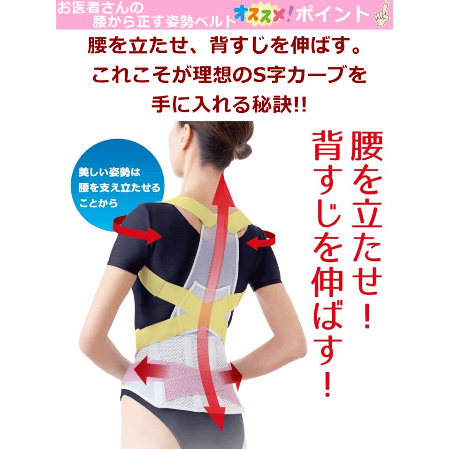 アルファックス 【平日15時まで即日出荷】お医者さんの腰から正す姿勢