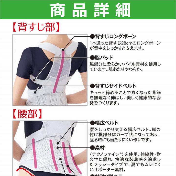 アルファックス 【平日15時まで即日出荷】お医者さんの腰から正す姿勢