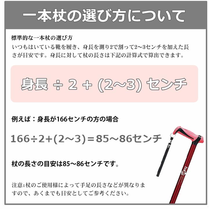 【平日15時まで即日出荷】ヒューゴステッキ【杖 ステッキ つえ 人気 贈り物 プレゼント リハビリ 伸縮 杖 伸縮杖 散歩 外出 竹虎】｜zengozen-yafoo｜12