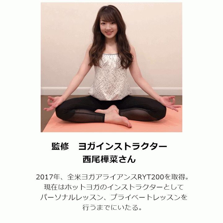 体幹バランストレーニング ユラミンゴ 体幹 体幹トレーニング バランス 片足 片足立ち ダイエット ヨガ 骨盤 姿勢 アルファックス U 2723 3080b 前後前ショップ ヤフー店 通販 Yahoo ショッピング