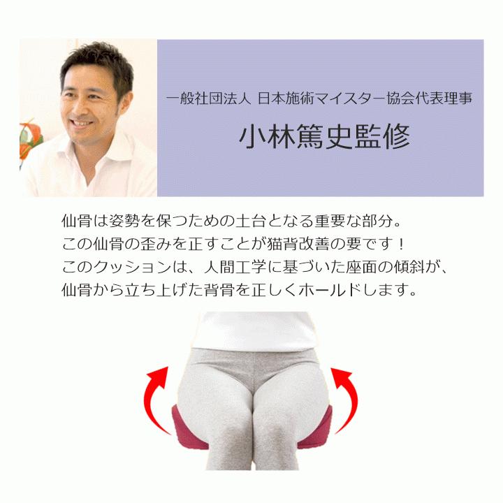 猫背改善 低反発まくら 姿勢補正 ゆったりサイズ 猫背改善 低反発まくら 姿勢補正 ゆったりサイズ sesuji-zz.jpg