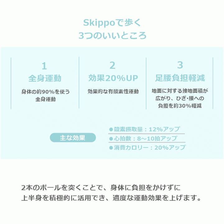 HATACHI（ハタチ） 【平日15時まで即日出荷】SUNPO WALKER(WH1600