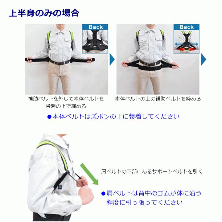平日15時まで即日出荷】DARWING SATT(ダーウィンサット)背中