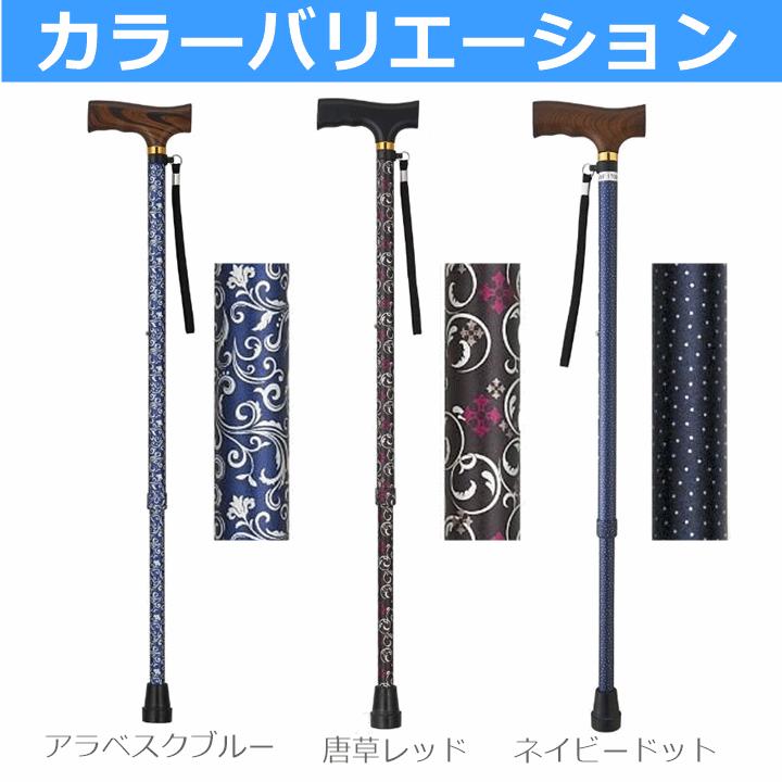 アスティコ（ASTICO） 楽しく歩こうセット（紳士用）【贈り物 歩行補助