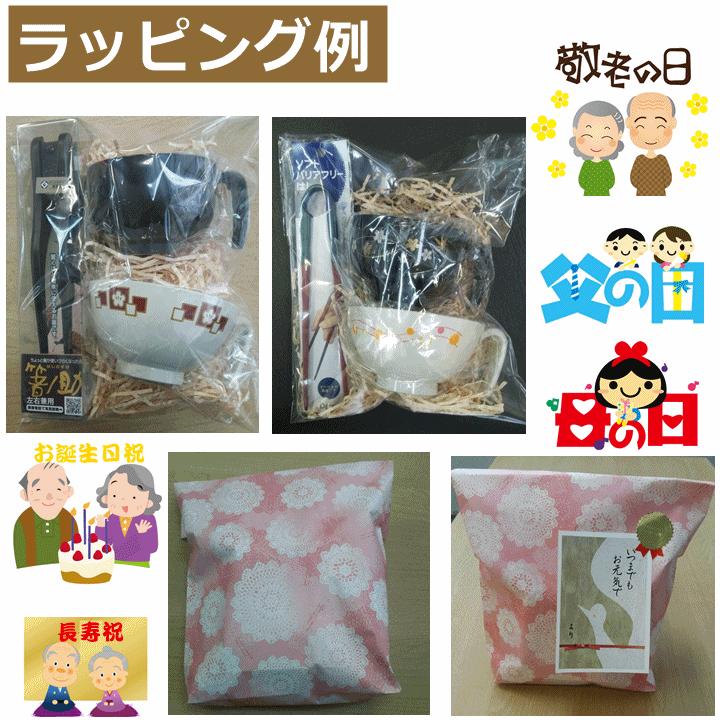 平日15時まで即日出荷】楽しく食べよう 箸ノ助プラスセット【手が不