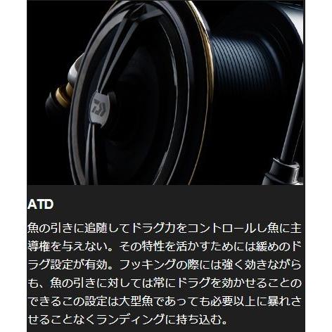 DAIWA（ダイワ） 19 セルテート LT5000D-CXH / スピニング リール