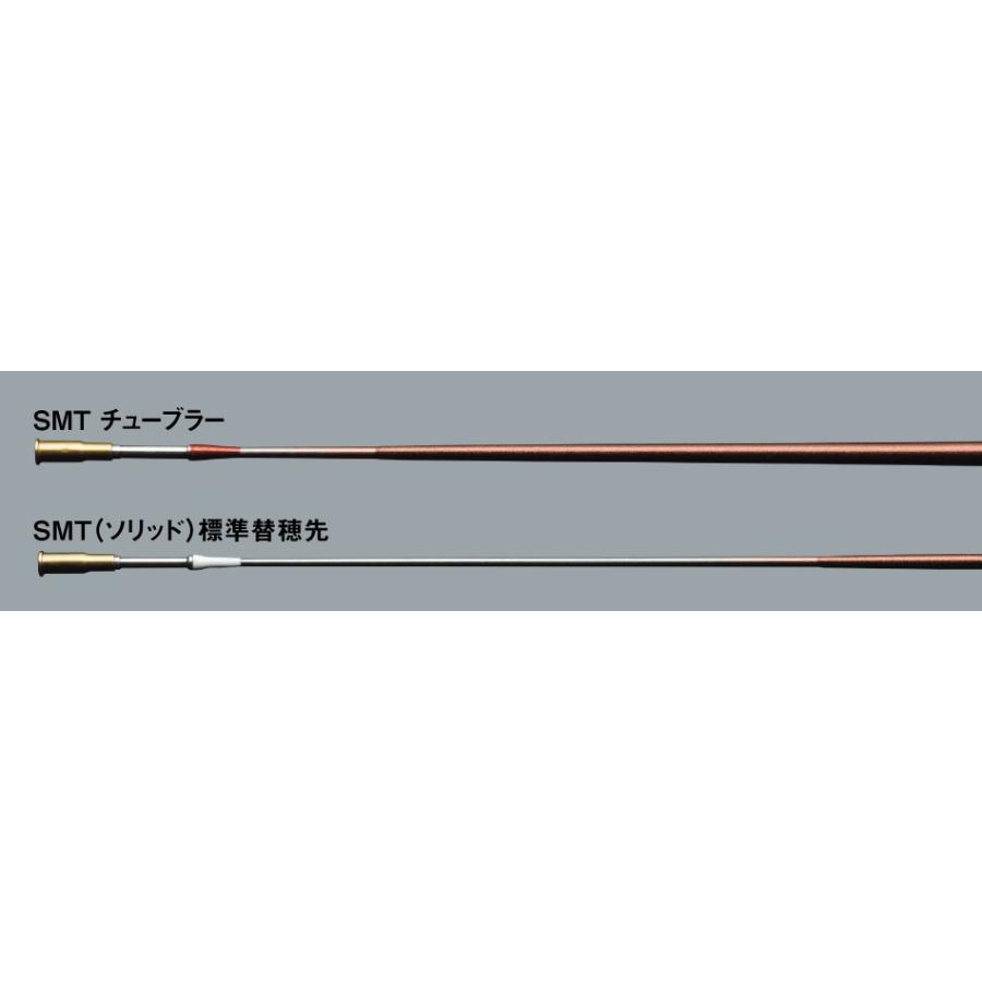 DAIWA 鮎竿　銀影 A 90 DAIWA（釣り） ダイワ 鮎竿 銀影競技 スペシャル MT 90・J