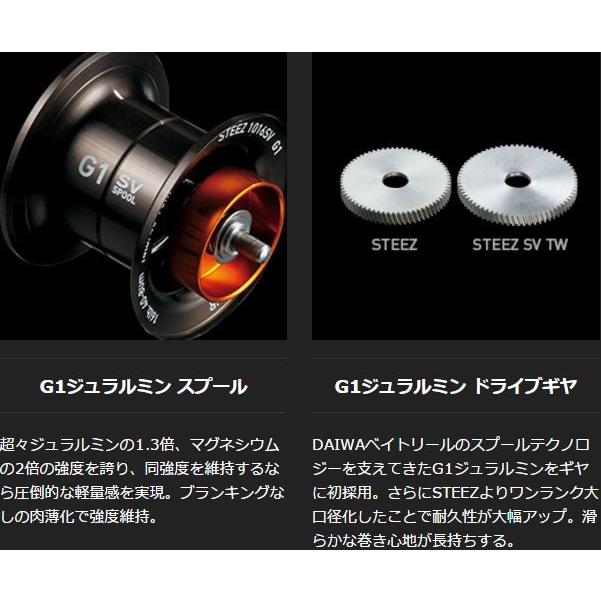 DAIWA（ダイワ） 16 スティーズ SV-TW 1016SV-H /ベイトリール