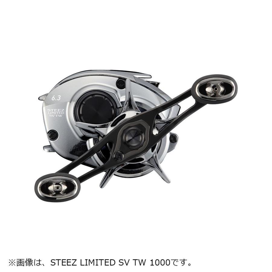 DAIWA（ダイワ） 21スティーズリミテッド SV TW 1000H ベイトリール