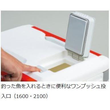 DAIWA（釣り） ダイワ プロバイザーHD ZSS2100X EX 21L クーラー