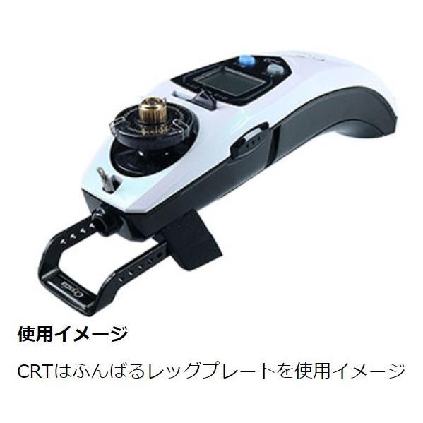 DAIWA（ダイワ） クリスティア ワカサギ ふんばるレッグ プレート