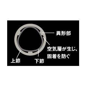 DAIWA（ダイワ） 翡翠 冴 中硬硬 60M / ひすい さえ 渓流 竿 : つり具