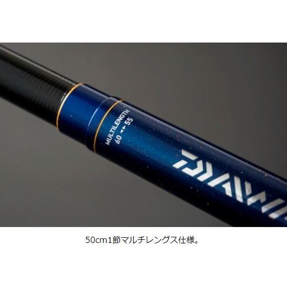 DAIWA（ダイワ） 翡翠 冴 中硬硬 60M / ひすい さえ 渓流 竿 : つり具
