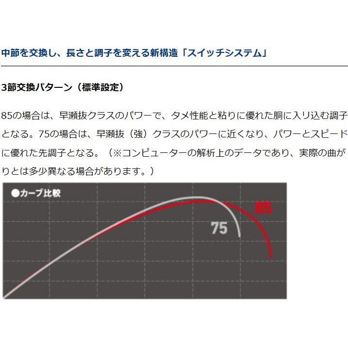 ダイワ 鮎竿 銀影競技 スペシャル SL 85