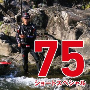 DAIWA(釣り) ダイワ 鮎竿 銀影競技 スペシャル SL 85 : つり具 DAIWA(釣り) ダイワ 鮎竿 銀影競技 スペシャル SL 85 : つり具