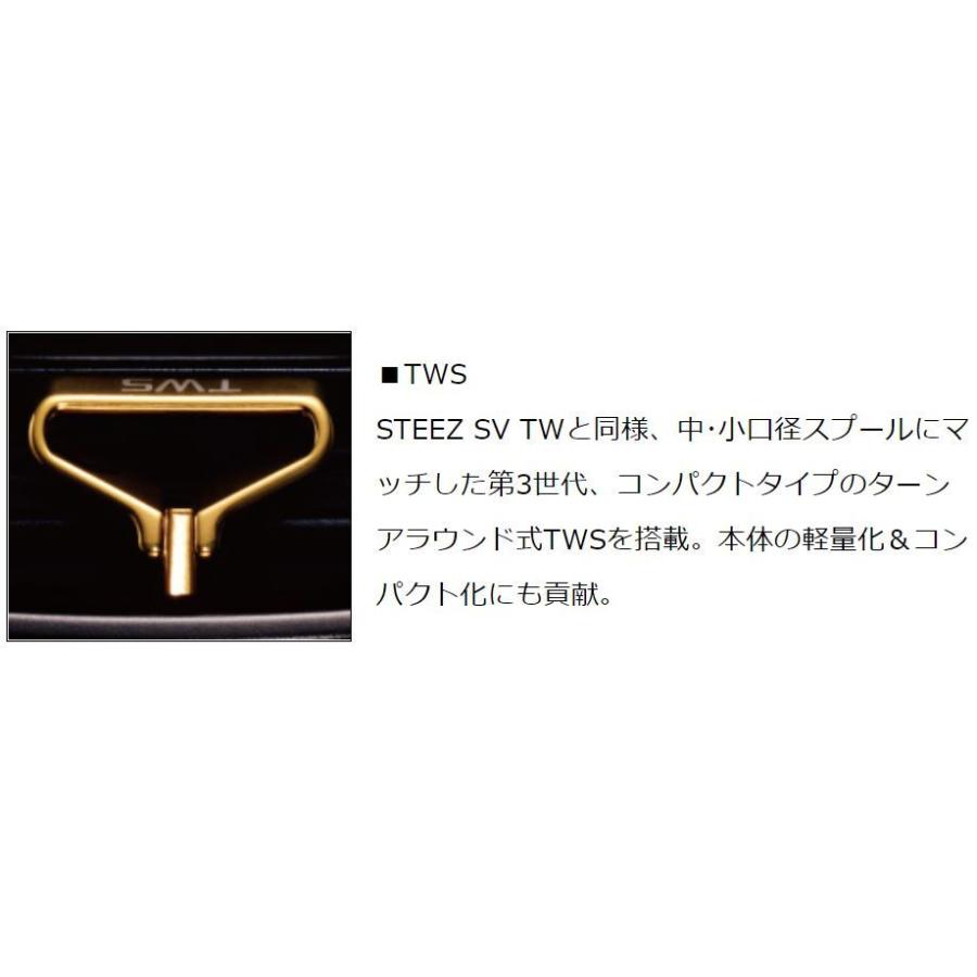 DAIWA（ダイワ） スティーズ A TW 1016H / STEEZ ベイトリール 右