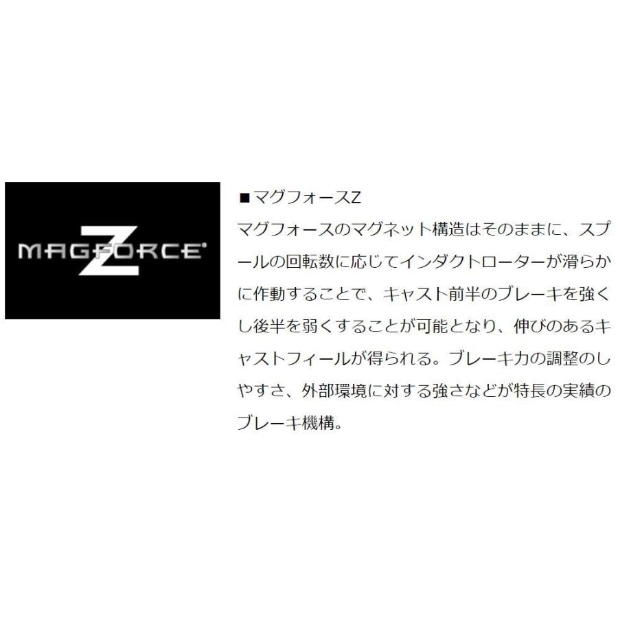 DAIWA（ダイワ） スティーズ A TW 1016H / STEEZ ベイトリール 右