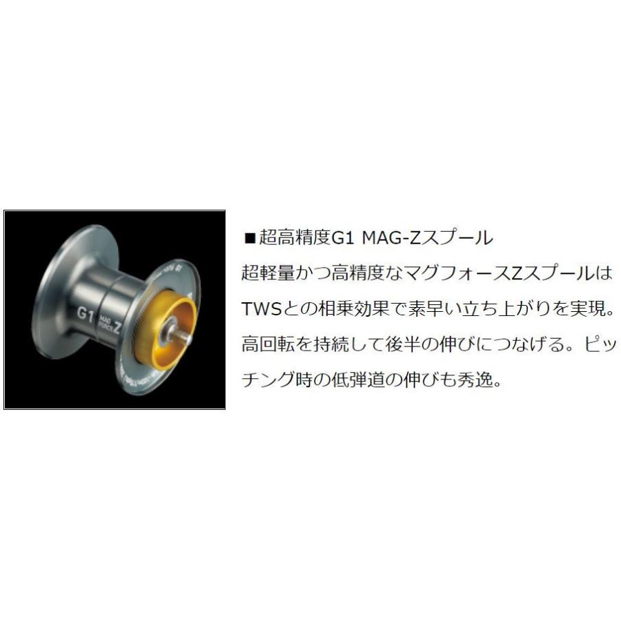 DAIWA（ダイワ） スティーズ A TW 1016SH / STEEZ ベイトリール 右