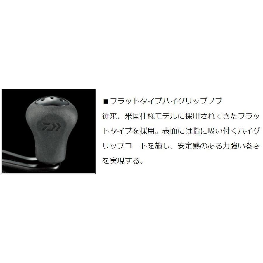 DAIWA（ダイワ） スティーズ A TW 1016SH / STEEZ ベイトリール 右