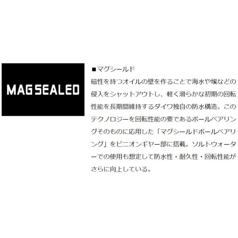 DAIWA（ダイワ） スティーズ A TW 1016SHL / STEEZ ベイトリール 左