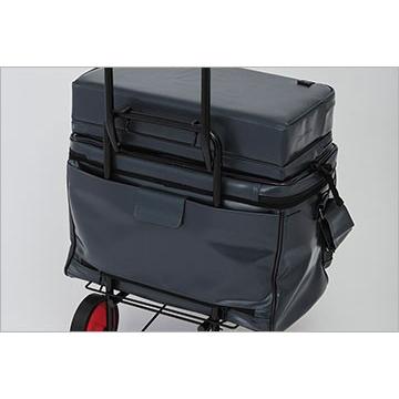 DAIWA（ダイワ） へらバッグ LT35（C） ヘラ : つり具の銭屋 - 通販