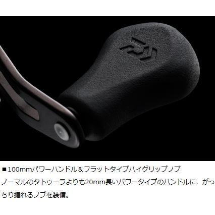DAIWA（ダイワ） タトゥーラ HDカスタム 153H-TW / TATULA ベイト