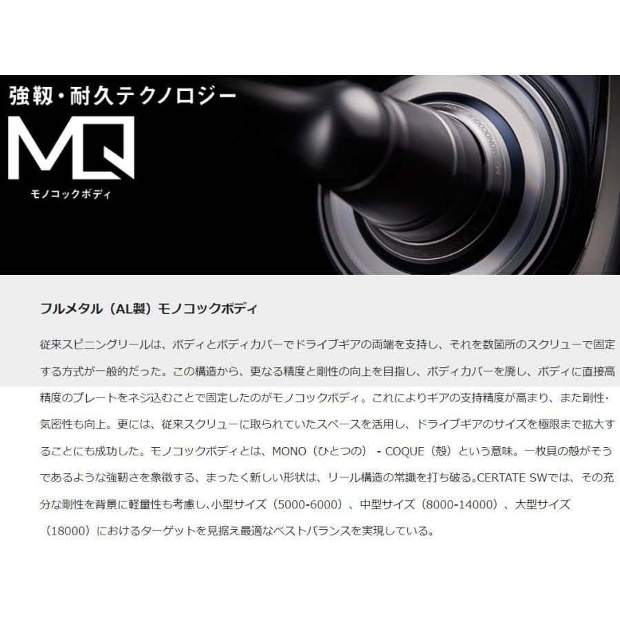 DAIWA（ダイワ） 21セルテート SW 5000-XH / スピニングリール