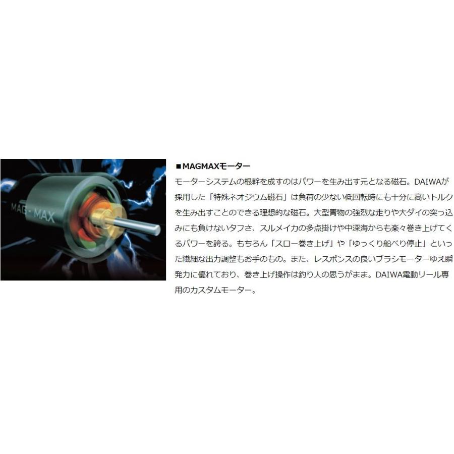 DAIWA（釣り） ダイワ 電動リール 18 シーボーグ 300J : つり具