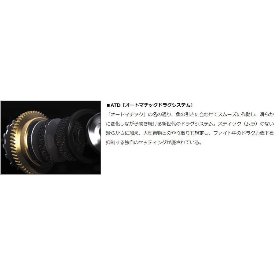 DAIWA（ダイワ） 電動リール 18 シーボーグ 300J : つり具の銭屋