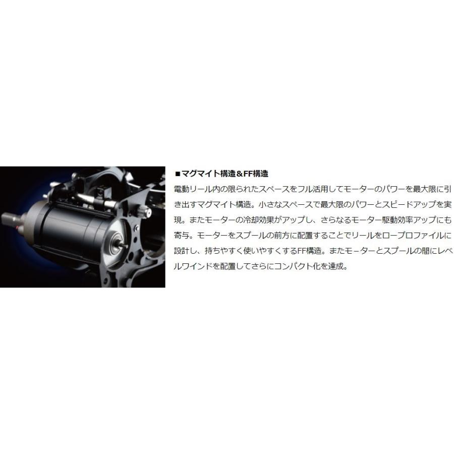 DAIWA（ダイワ） 電動リール 18 シーボーグ 300JL : つり具の銭屋