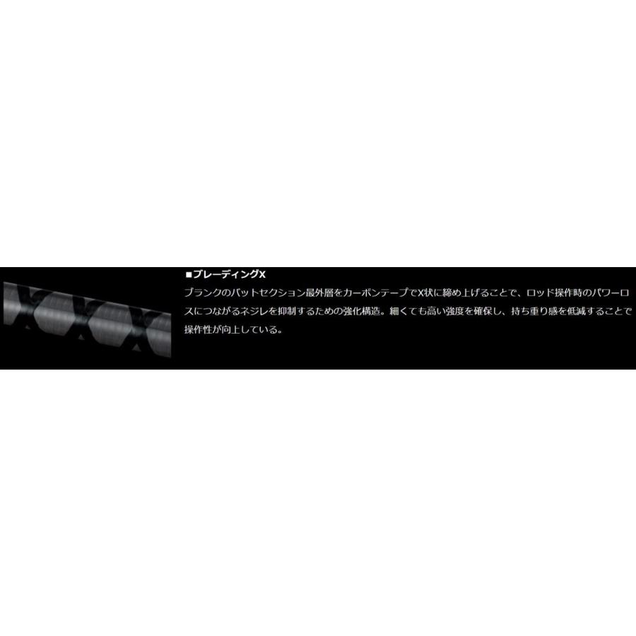 DAIWA（ダイワ） バスロッド ブレイゾン 2ピース ベイトキャスティング