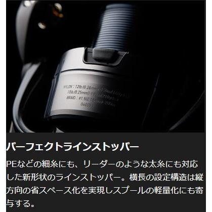 DAIWA（ダイワ） 19 セルテート LT3000S-CH-DH / スピニング リール