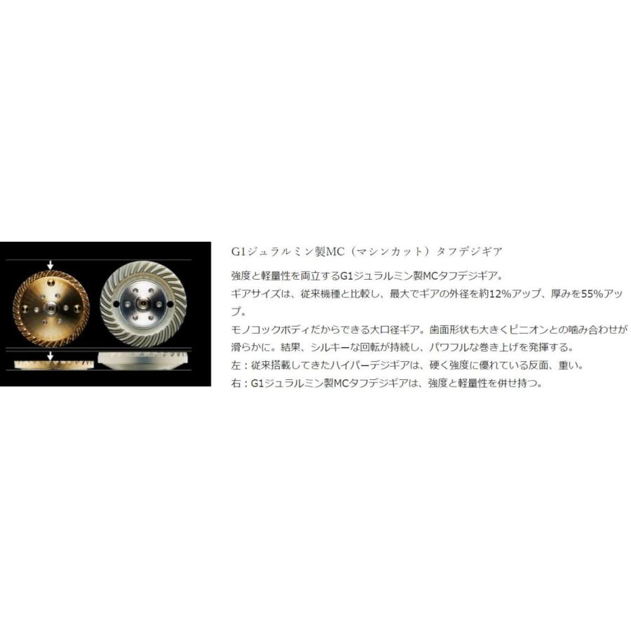 DAIWA（ダイワ） 21セルテート SW 6000-P / スピニングリール : つり具