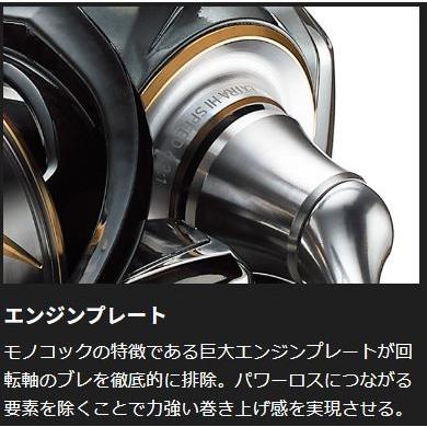 ダイワ 20 ルビアス FC LT2000S /スピニングリール ダイワ 20 ルビアス FC LT2000S /スピニングリール