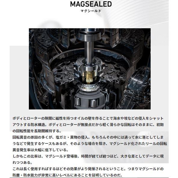 DAIWA（ダイワ） 20 ルビアス LT3000-C /スピニングリール : つり具の