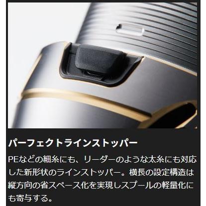 DAIWA（ダイワ） 20 ルビアス LT3000 /スピニングリール : つり具の