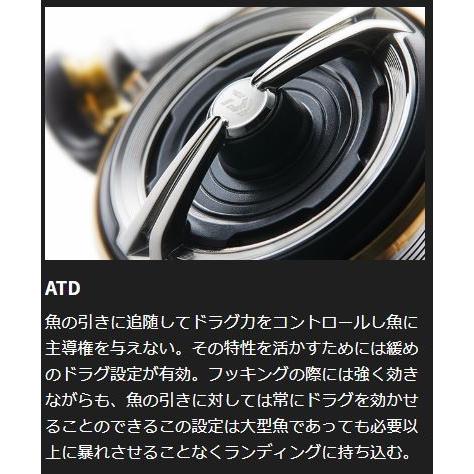 DAIWA（ダイワ） 20 ルビアス LT3000-XH /スピニングリール : つり具の