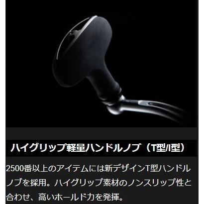 DAIWA（ダイワ） 18 イグジスト LT3000S-CXH / EXIST スピニングリール