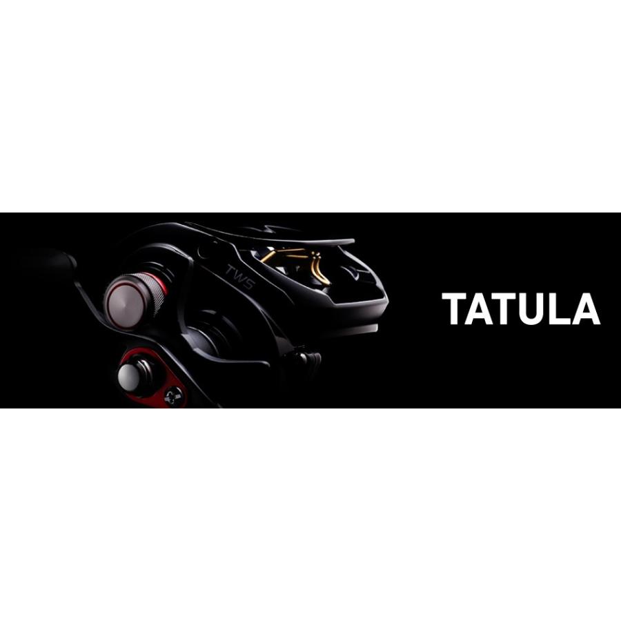 DAIWA（ダイワ） タトゥーラ 100HL-TW / TATULA ベイトリール 左
